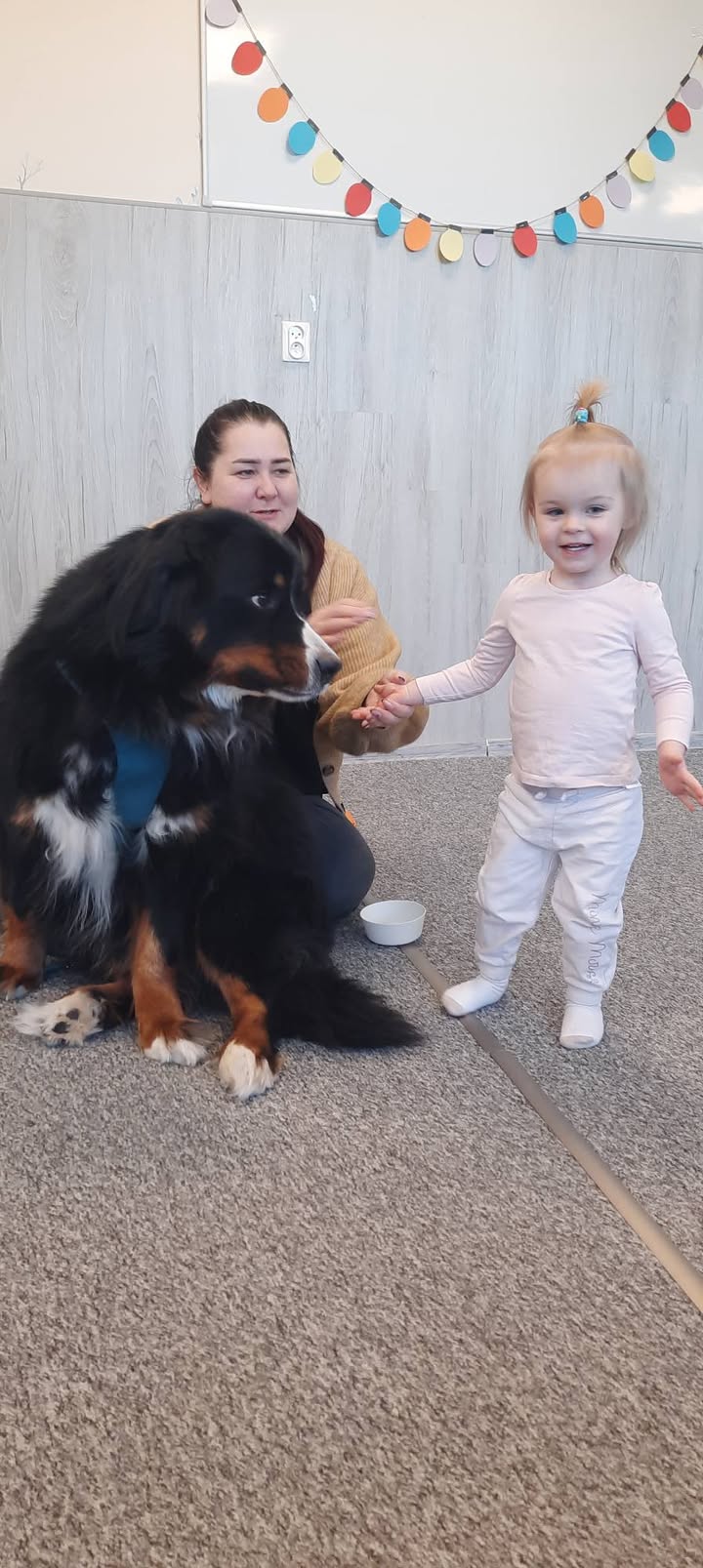 Niepubliczny Żłobek Zaczarowany Ołówek